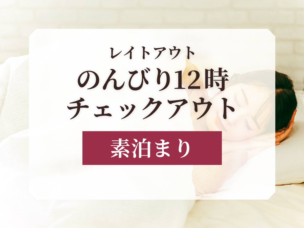 ホテルリソル札幌 中島公園 【レイトアウト】朝寝坊さんも安心!のんびり12時チェックアウトでゆったりSTAY<素泊まり>