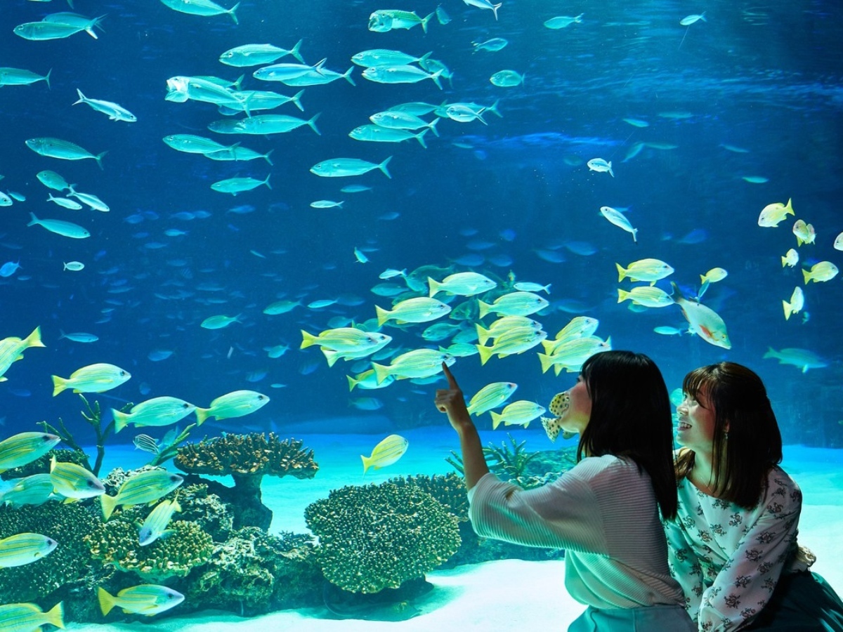 ホテルリソル池袋 【サンシャイン水族館チケット付】女子旅にもデートにも♪池袋観光の定番！≪素泊り≫