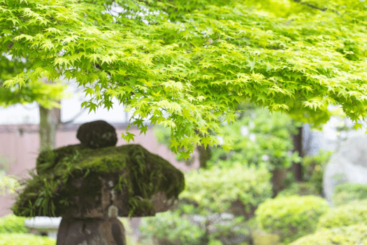 萩の宿 常茂恵 ≪DP≫当館人気！旬の会席プラン☆至福の上質空間でこだわりの山口・萩の美食＆温泉満喫＜旬会席～松～＞