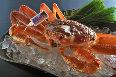御宿コトブキ 【焼刺蒸鍋ひとり1.5匹】カニの町浜坂港水揚げ！鮮度抜群の厳選「タグ付松葉ガニフルコース」セラピー無