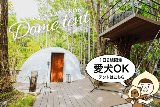 湯布院温泉郷 グランピング COMOREBI 【最大5名】〈愛犬OK/天空テラス・ブランコ付〉 ドーム型テント6m (シングル3台)