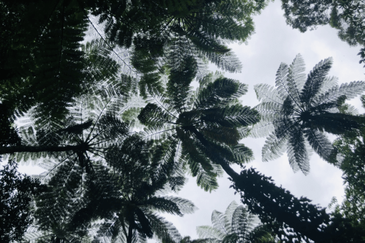 ホテルウエストコート奄美Ⅰ ◆世界自然遺産登録記念♪お得に素泊りプラン