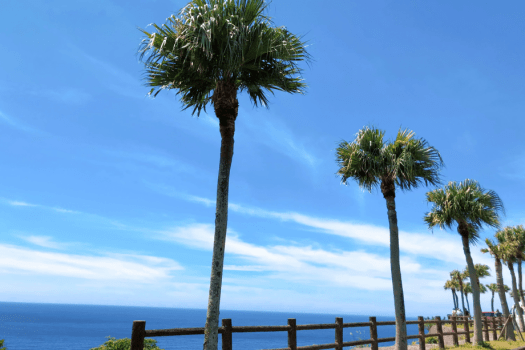 ホテルウエストコート奄美Ⅰ ◆世界自然遺産登録記念♪お得に素泊りプラン