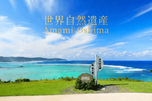 ホテルウエストコート奄美Ⅰ 【朝食付き】★世界自然遺産登録記念★奄美大島で迎える1日の始まりを特別価格で