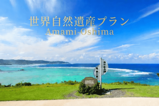 ホテルウエストコート奄美Ⅰ ◆世界自然遺産登録記念♪お得に素泊りプラン