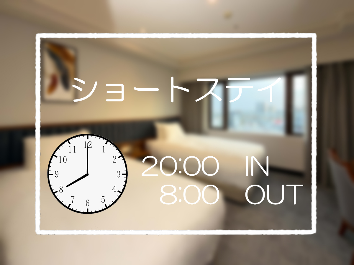 ホテルクラウンパレス知立 【リニューアル客室】チェックイン20:00/アウト8:00　ショートステイ　(朝食付き)