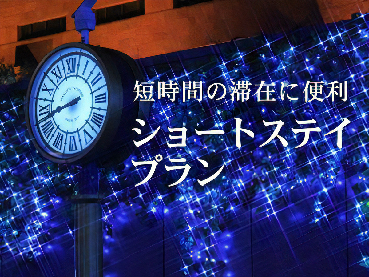 ザ クラウンパレス高知 【リニューアル客室】チェックイン19:00/アウト11:00　ショートステイ　(朝食付き)