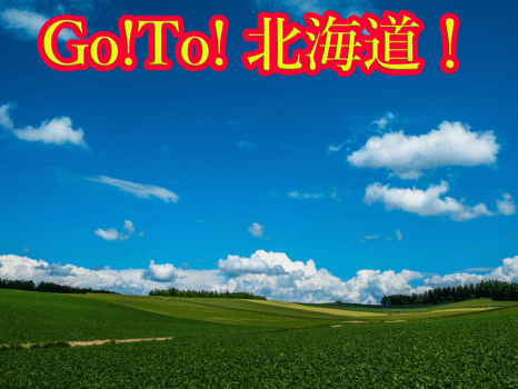 森の湯 山静館 【航空券パック】お気軽プラン!登別の“おいしい”を少しずつ♪女性やご年配の方におススメの『海鮮鍋』プラン