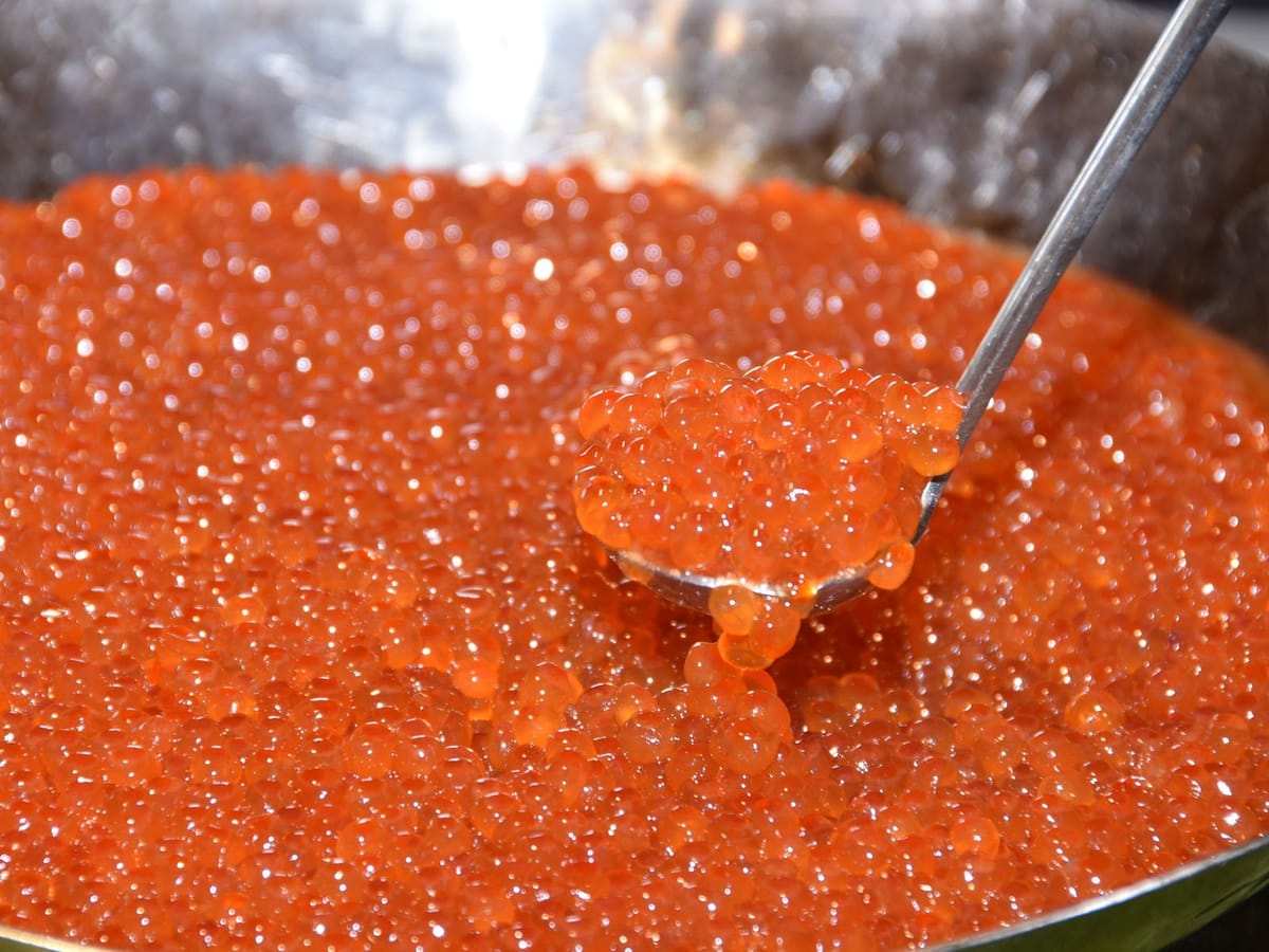 第一滝本館 【遅い到着でもOK！】朝食だけの手軽な宿泊プラン／ビュッフェ朝食付