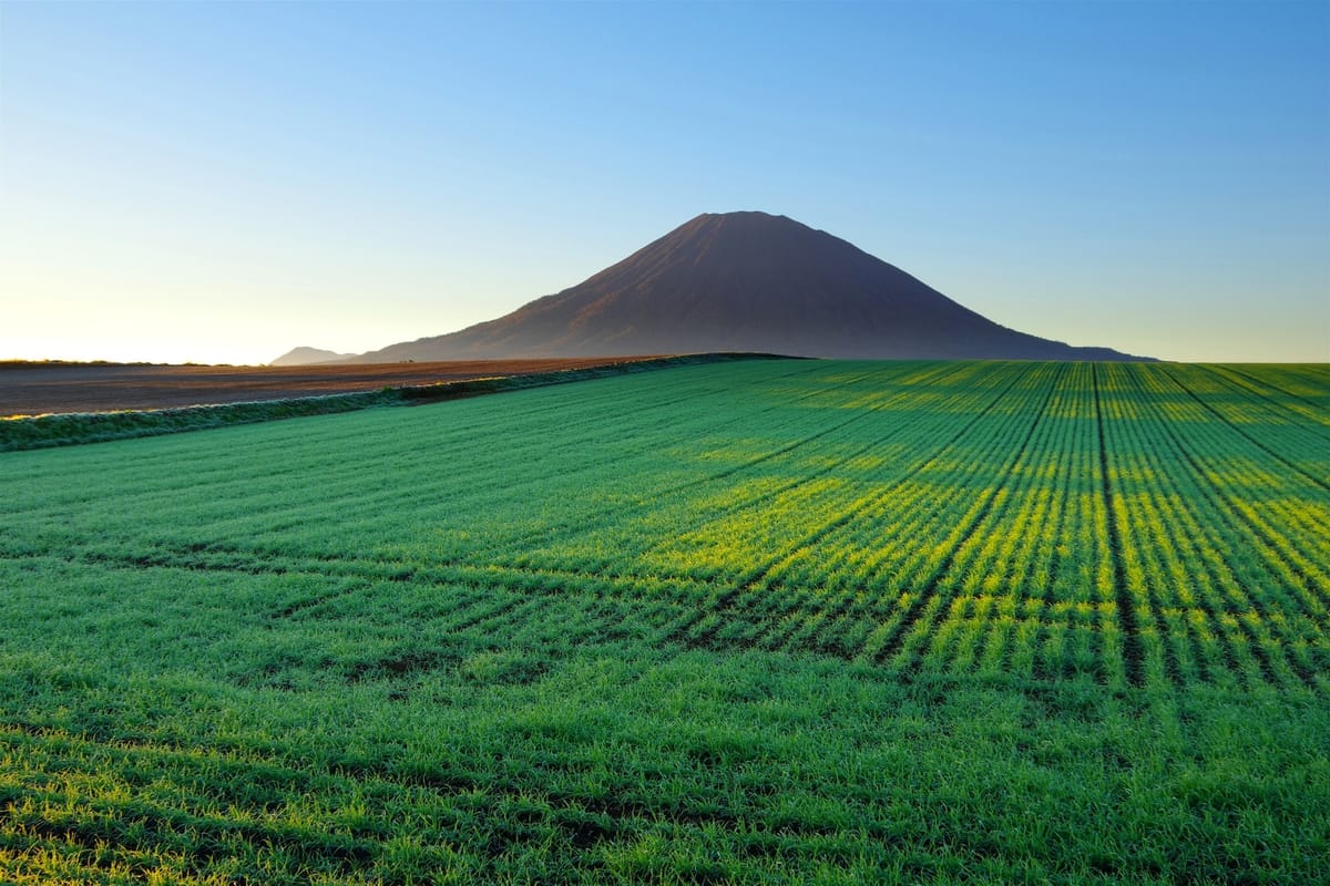 ホテルスリーエム グリーンシーズン2026【早期予約割引プラン14】14日前までのご予約で3％以上引き＜素泊まり＞