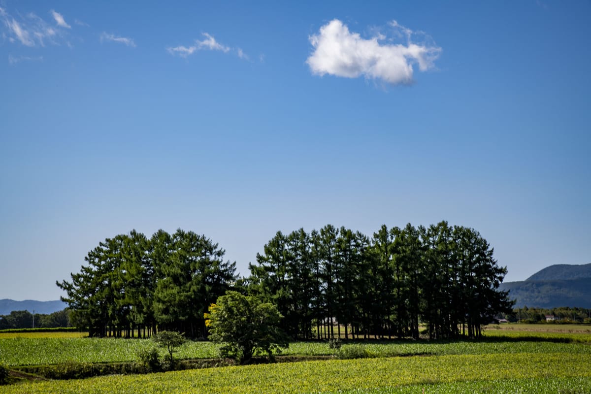 ホテルスリーエム グリーンシーズン2026☆出張やニセコ観光、スキーで滞在のお客様に、リーズナブルな＜素泊まり＞プラン