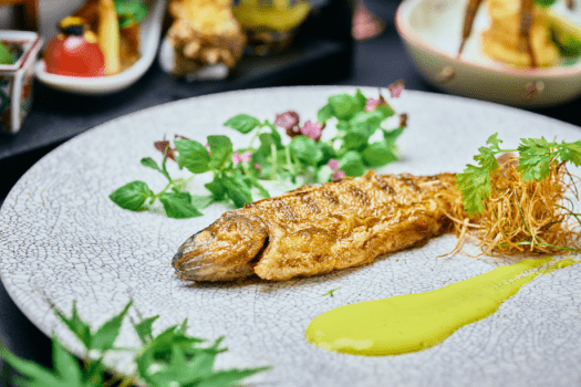 山鹿温泉　清流荘 【鹿門亭☆個室食】季節会席料理「旬」プラン◆個室でのお食事◆ スタンダード
