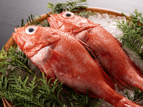 さんご草の郷 能取の荘 かがり屋 【きんき会席】北海の赤き至宝を味わう!基本プラン.