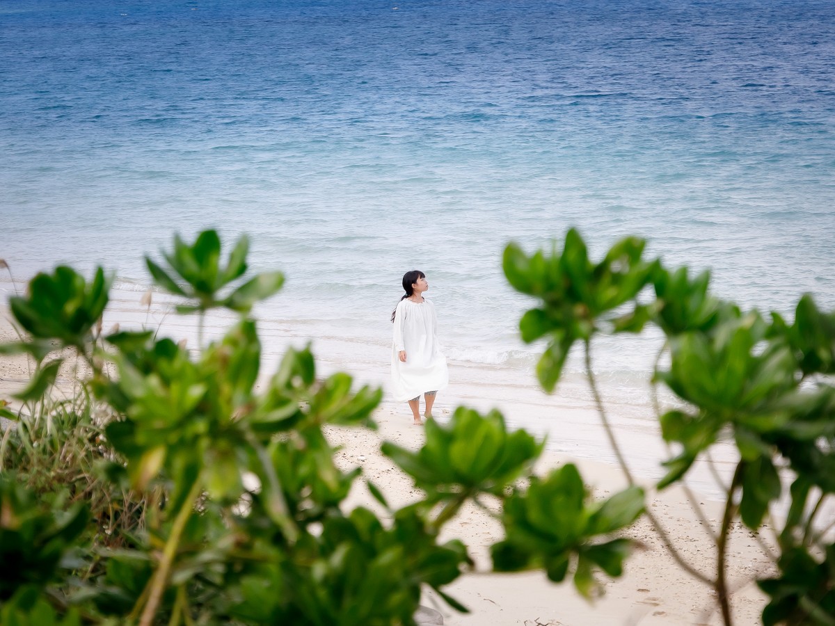 伝泊 奄美 古民家 【素泊りプラン】古民家一棟貸し -島で暮らすように泊まる-<全室禁煙>