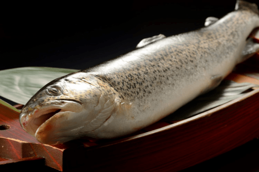 ホテルグランメール 山海荘 【冬季限定】幻の魚「イトウ」が味わえる!料理堪能 贅沢和会席プラン~オールインクルーシブ~DP