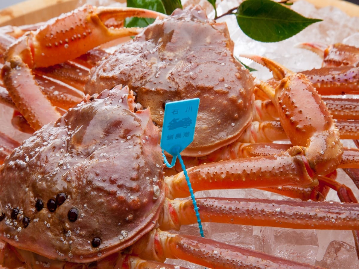 片山津温泉 季がさね 【冬SALE 予約期間限定10%OFF＆地酒飲み放題付き】冬の夫婦蟹物語 　加能と香箱を2人でシェア～加賀の季会席