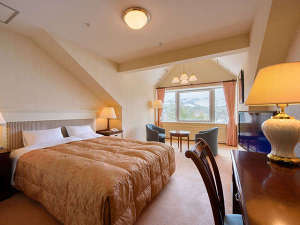 裏磐梯レイクリゾート・五色の森 【本館・五色の森】ダブルルーム（34㎡） 