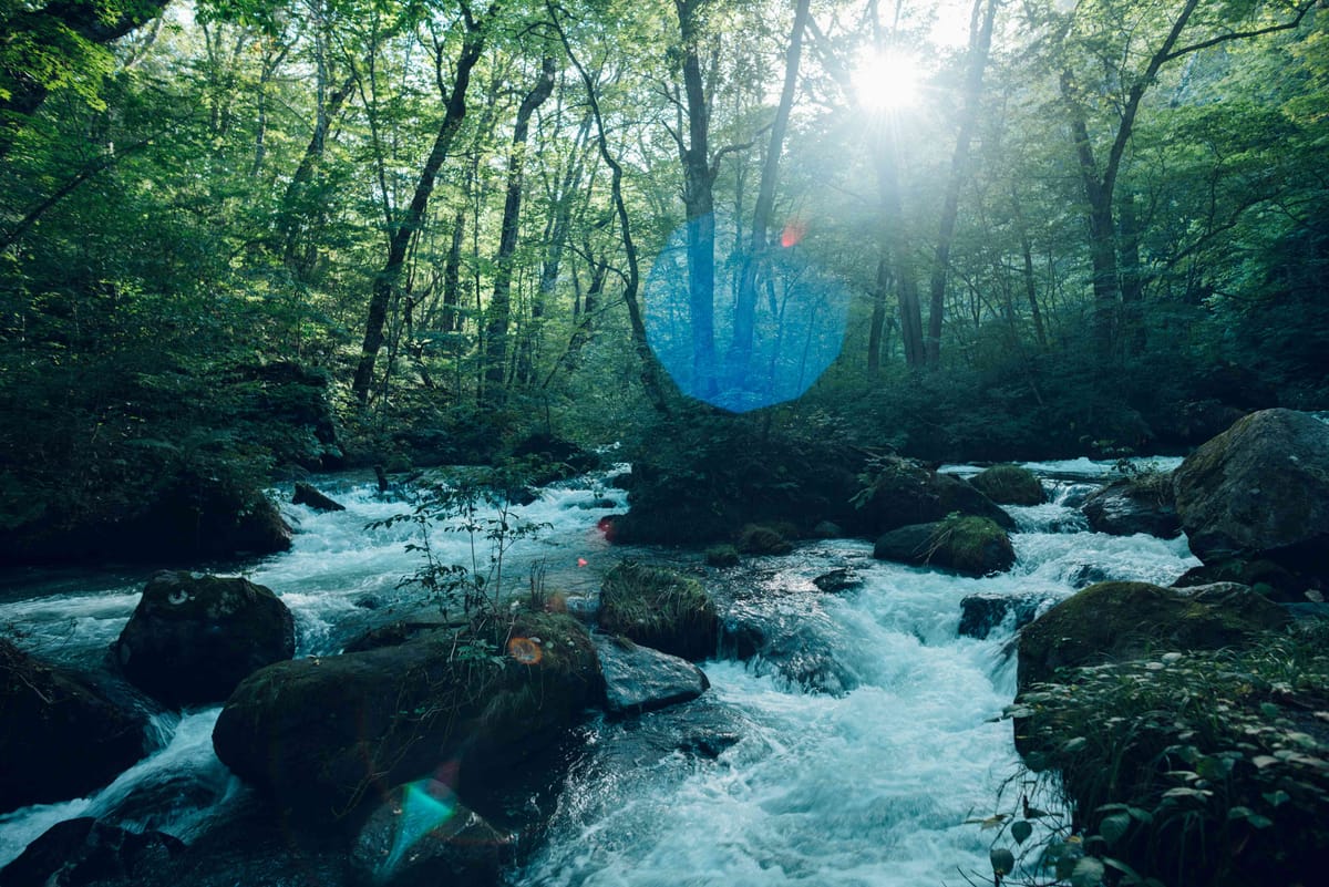 奥入瀬渓流ホテル by 星野リゾート 食事なし