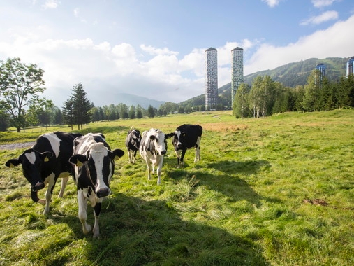 トマム ザ・タワー by 星野リゾート トマム ザ・タワー|スタンダードプラン(朝食付)