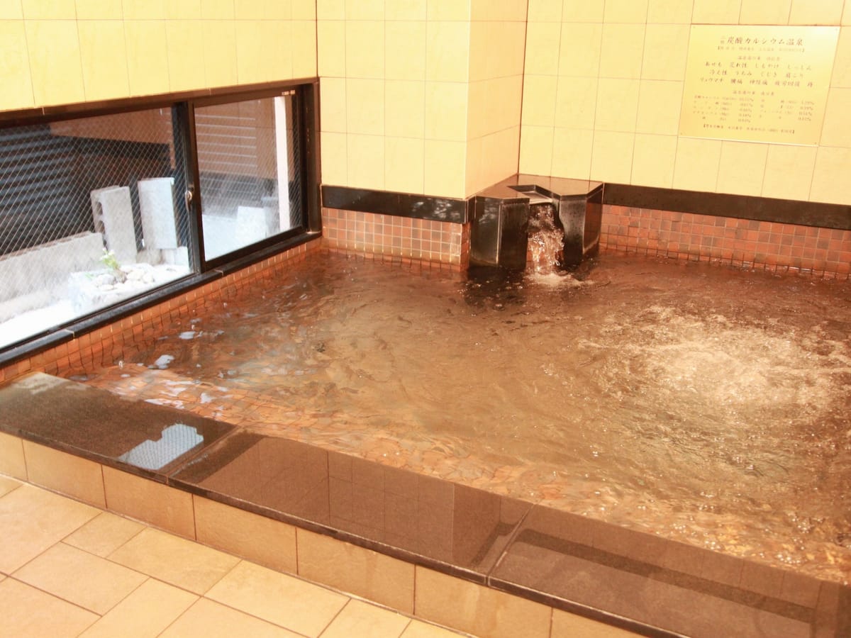 グリーンリッチホテル広島新幹線口(人工温泉 二股湯の華) 【早期割14】14日前までのご予約限定【朝食付】おにぎらず弁当付きプラン