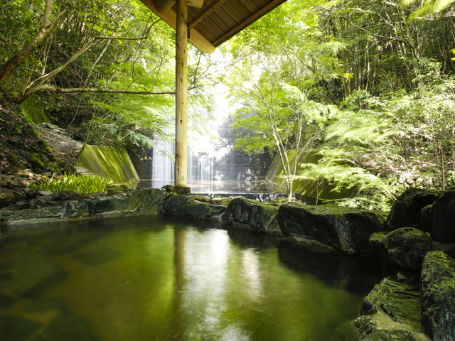 湯山荘 阿讃琴南 ご当地ふぐ・讃岐でんぶくのてっちり鍋コース 滋味豊かな地元産野菜とともに