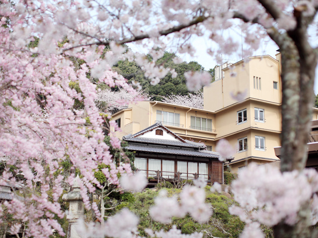 琴平花壇 【お部屋から桜を眺める】春の風雅を愛でる期間限定プラン 