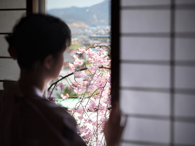 琴平花壇 【お部屋から桜を眺める】春の風雅を愛でる期間限定プラン 