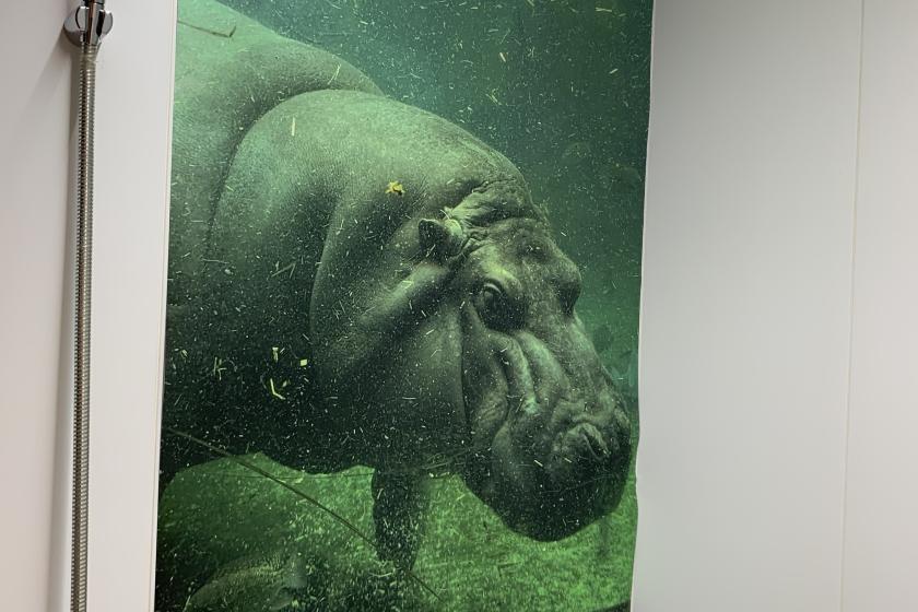 変なホテル大阪 心斎橋 【天王寺動物園110周年記念】アニマルルーム＜無料朝食・ラウンジ付き＞