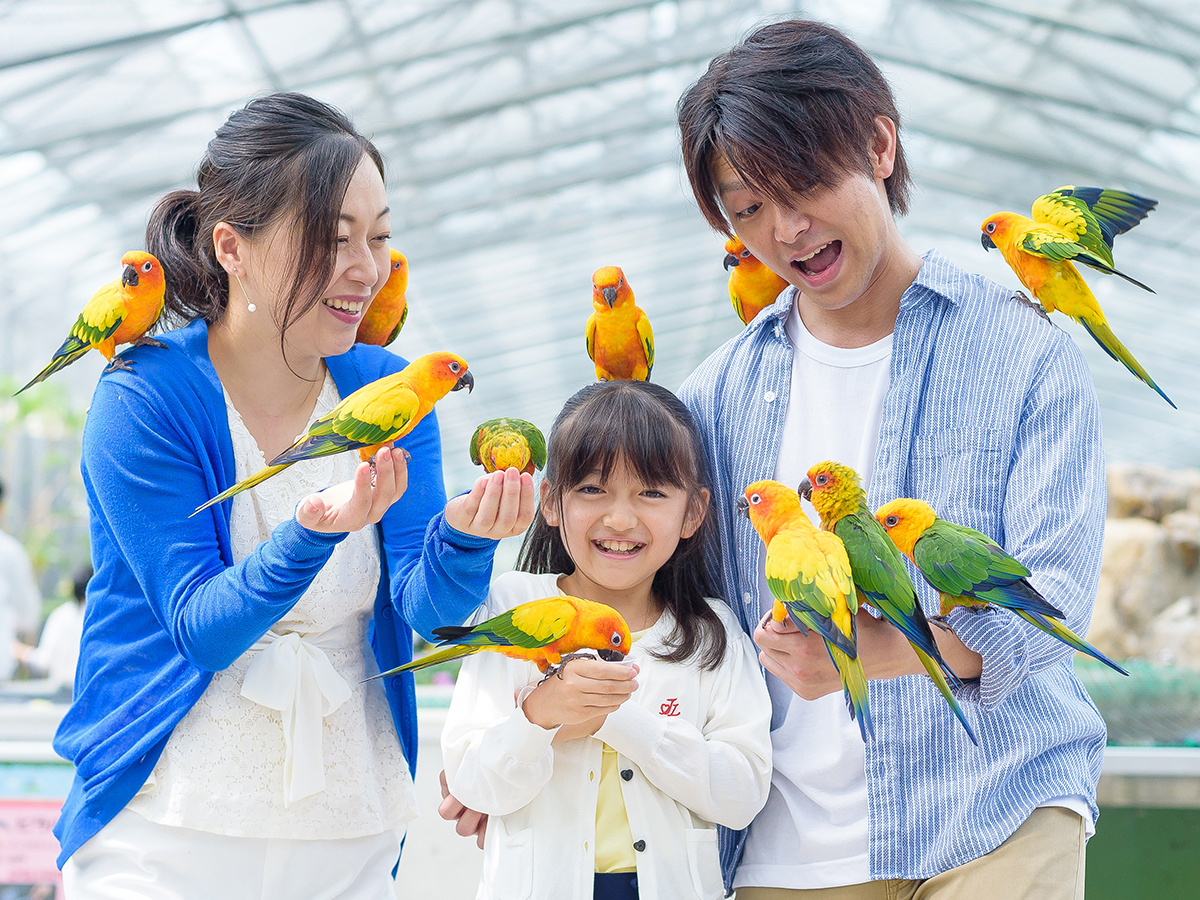 つま恋リゾート 彩の郷 ◆車で15分！掛川花鳥園入園券付きプラン