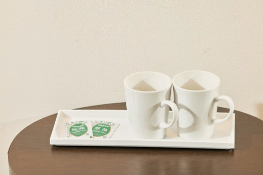 アーバイン東京・上野 北千住 【全室禁煙】ジャパニーズスタンダードルーム 140㎝幅マットレスタイプベッド×1台　畳部屋　10平米