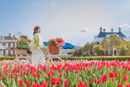 ホテルアムステルダム ハウステンボス 【春旅は早期割がおトク！】早めの予約で楽しむ春限定プラン（素泊まり）DP