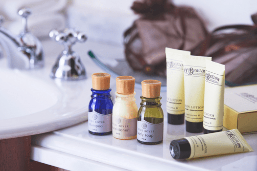 ホテルヨーロッパ ハウステンボス エグゼクティブメゾネットダブル（1～2名）