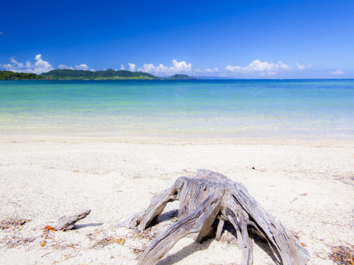 石垣シーサイドホテル 【素泊りプラン】ビーチは目の前♪南の島をお得に満喫！