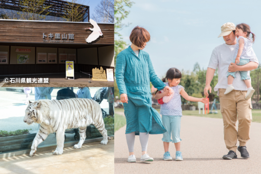 まつさき 【人気のいしかわ動物園チケットが全員に付いてお得】～ファミリープラン～