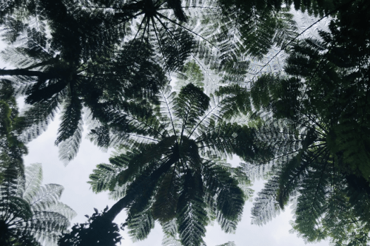 ホテルウエストコート奄美Ⅱ ◆世界自然遺産登録記念♪お得に素泊りプラン