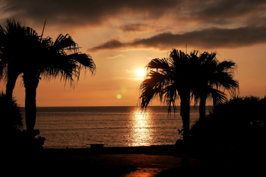 ホテルウエストコート奄美Ⅱ ◆世界自然遺産登録記念♪お得に朝食付プラン