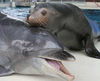 下関グランドホテル 【海響館入場券付き】西日本最大級のペンギン展示施設などみどころ満載～朝食付き～