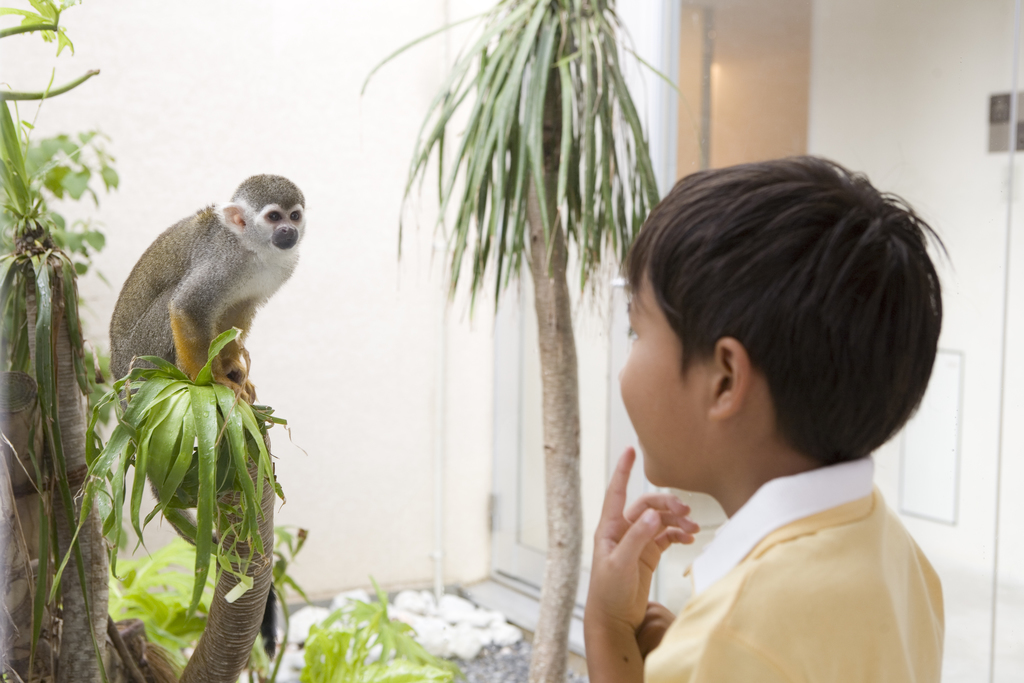 ザ・ビーチタワー沖縄 ★早割60日前★最大22時間ステイ♪3連泊以上のご予約で夕食1回付き！／朝食付