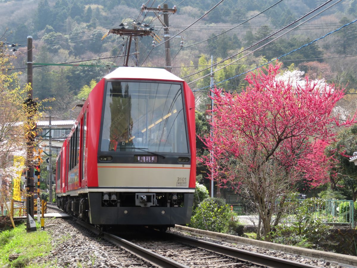 箱根小涌谷温泉 水の音 【電車来館でお得】小涌谷駅から無料送迎あり★最大5,500円OFFでお得に冬旅♪