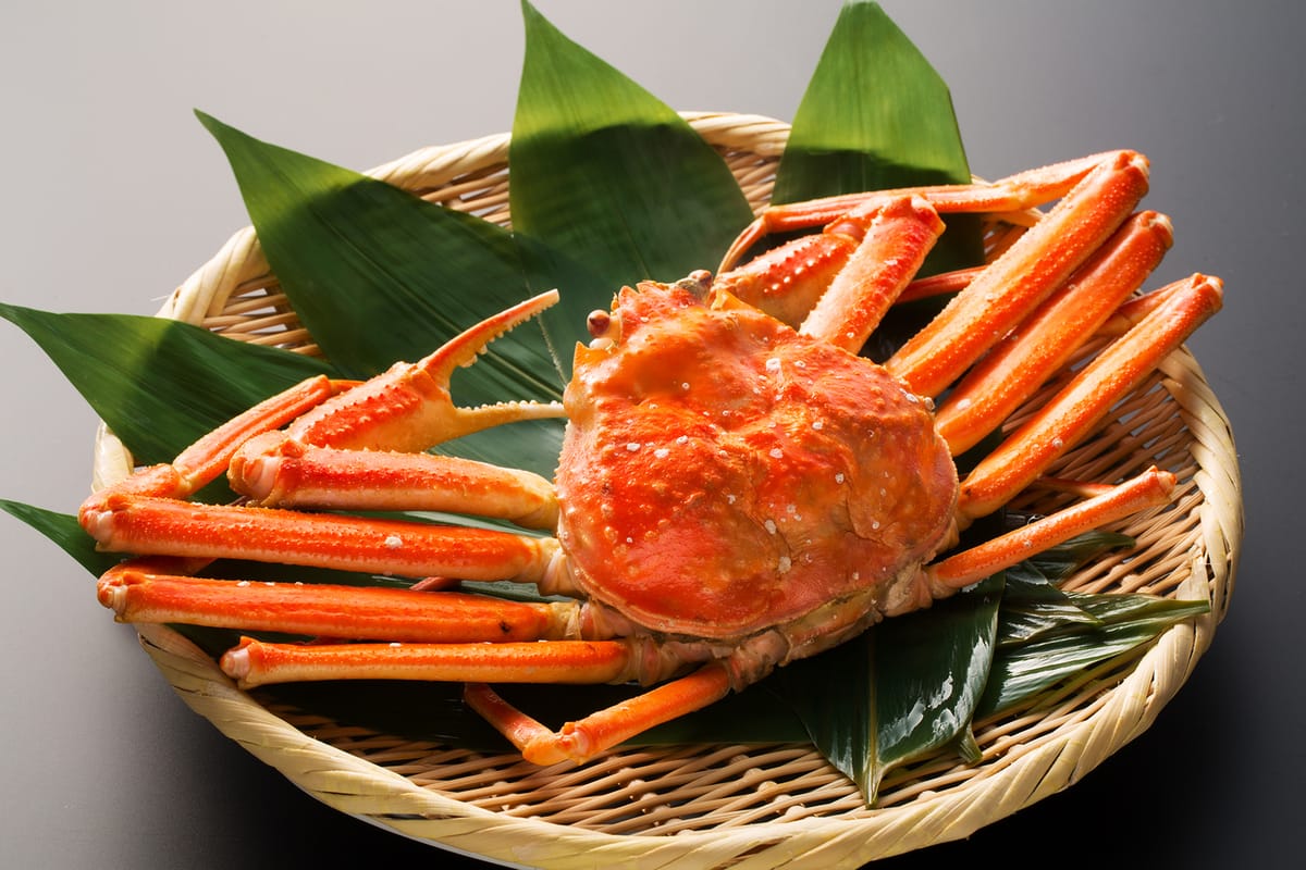 かがり吉祥亭 【姿ズワイ蟹1杯つき！】この内容でこの価格　冬の一番人気まるごとズワイ蟹を堪能
