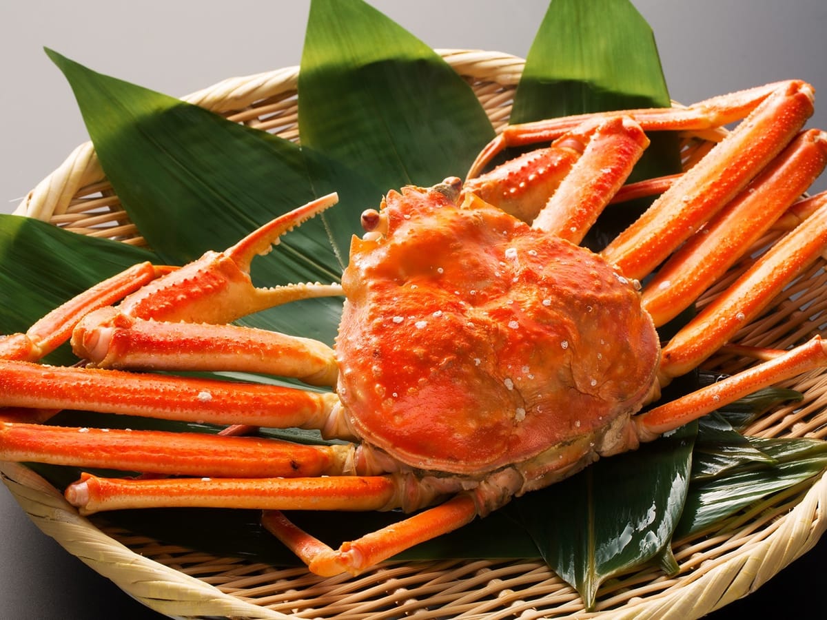 かがり吉祥亭 【蟹一杯付き会席】秋冬の北陸の味覚とともに、まるごと１杯ズワイ蟹を満喫