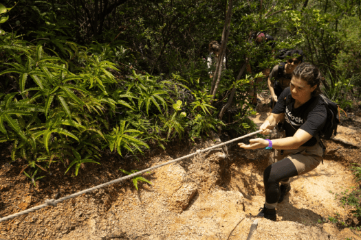 湯の宿　宮浜グランドホテル 【広島県体験観光コンテンツ２０２４年度MVP受賞】宮島を望むハーフトレッキング付1泊3食プラン！山頂で食す山賊むすび弁当＆焼牡蠣は格別です♪