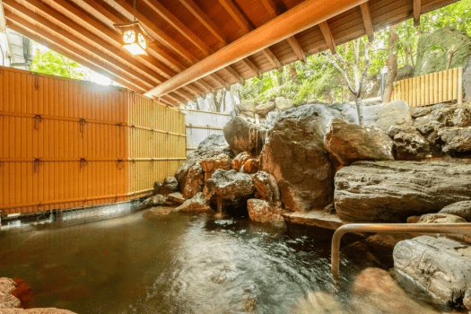 伝統旅館のぬくもり 灰屋 ★王道カニ会席★　焼・茹・鍋・刺で蟹を味わうフルコース