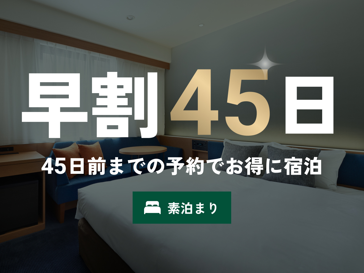 西鉄イン日本橋 【早割45・素泊まり】45日前がお得♪羽田空港から1本でアクセス抜群!