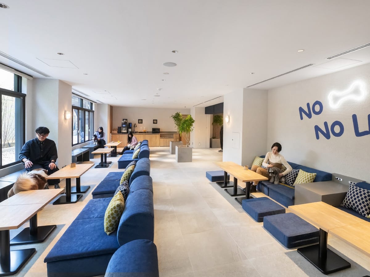 hotel anddoggy京都二条 毎月開催！ お得な犬種限定割プラン【 9月はポメラニアン 又は 同犬種MIX  】《 素泊り 》