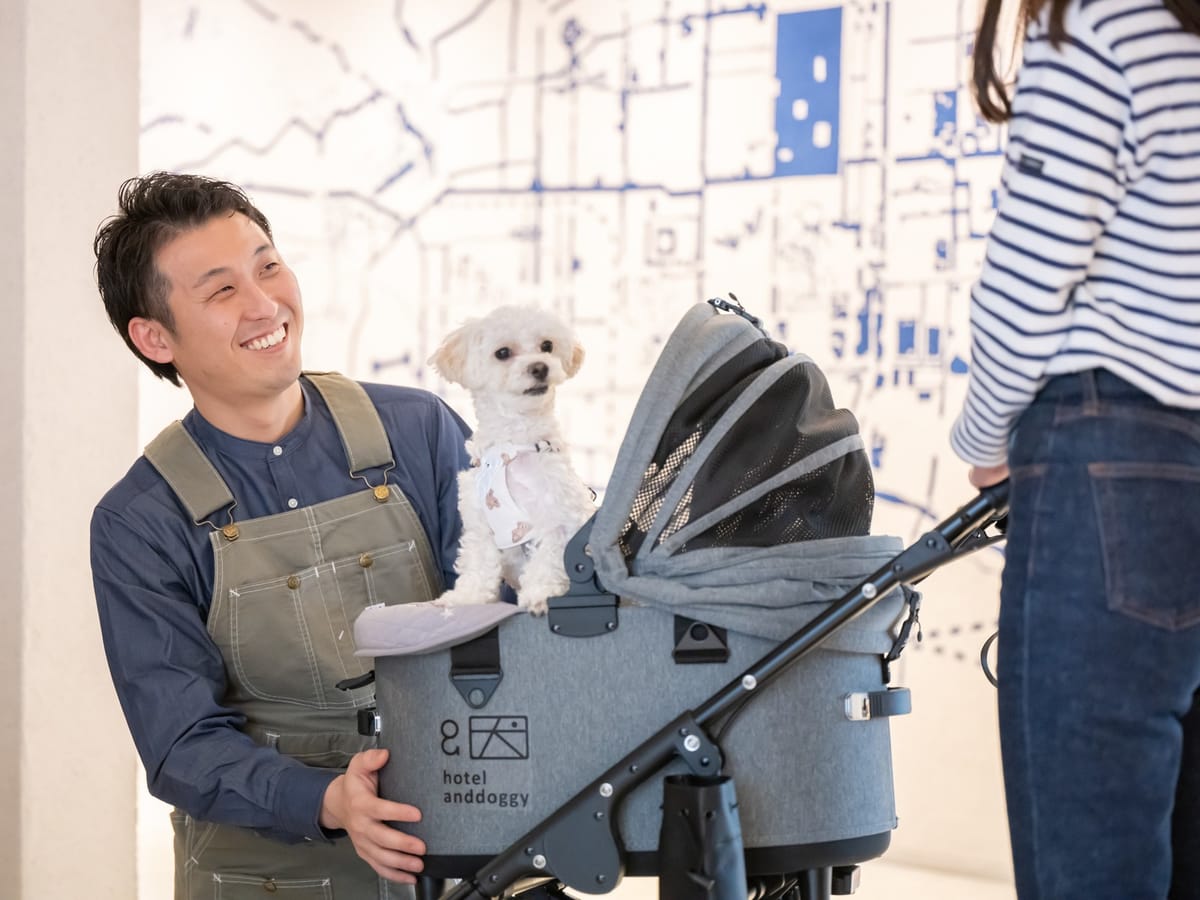 hotel anddoggy京都二条 毎月開催！ お得な犬種限定割プラン【 9月はポメラニアン 又は 同犬種MIX  】《 素泊り 》