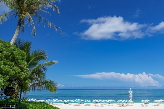 ザ・ムーンビーチ　ミュージアムリゾート 【早割】14日前までのご予約におすすめ／ワンランク上のステイ＜クラブサービス・朝食付き＞（DP）