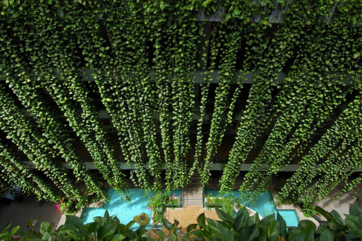 ザ・ムーンビーチ　ミュージアムリゾート 【早割】28日前までのご予約におすすめ／ワンランク上のステイ＜クラブサービス・朝食付き＞（DP）