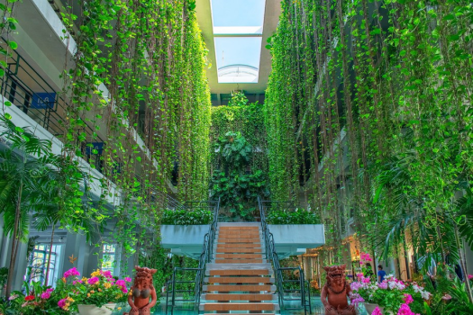 ザ・ムーンビーチ　ミュージアムリゾート 【早割】60日前までのご予約におすすめ／ワンランク上のステイ＜クラブサービス・朝食付き＞（DP）