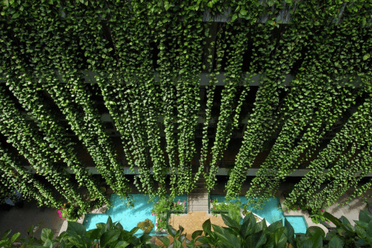 ザ・ムーンビーチ　ミュージアムリゾート 【早割】28日前までのご予約におすすめ／ワンランク上のステイ＜クラブサービス・朝食付き＞（DP）